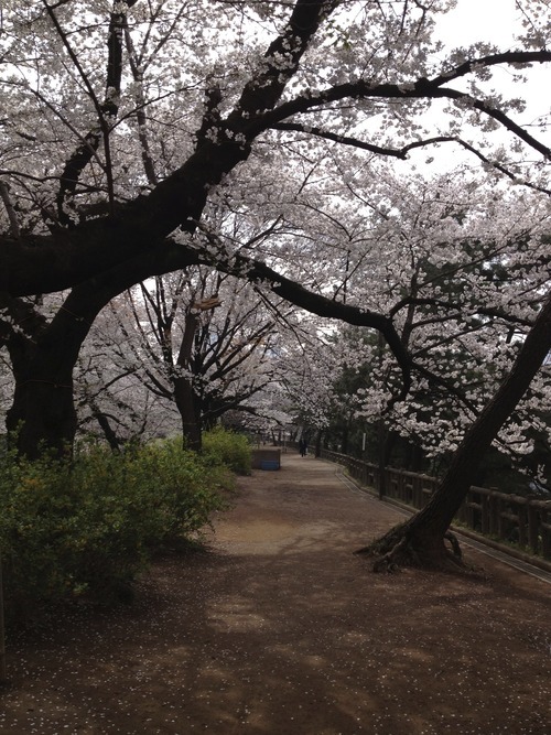 Into Japan