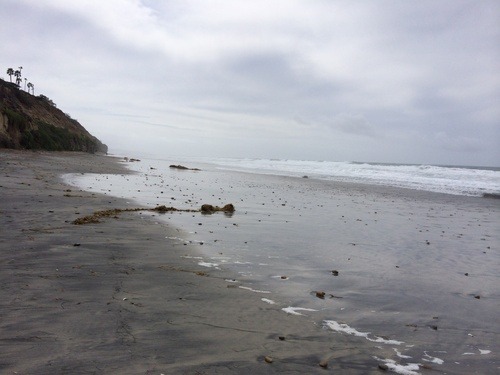 Timeless Coast